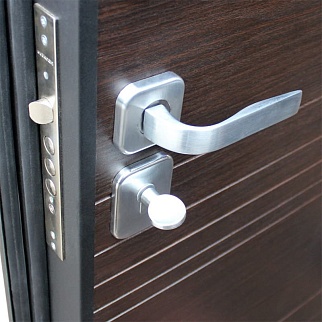 Дверь входная Модерн-2, венге/венге поперечный