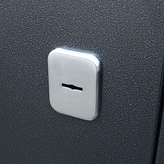 Дверь входная Модерн, антик серебро/венге поперечный