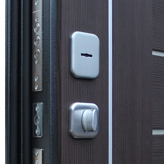 Дверь входная СБ-17, антик серебро/орех рифленый