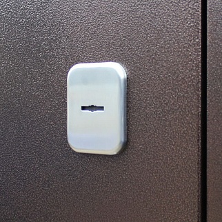 Дверь входная Техно М, медный антик/венге