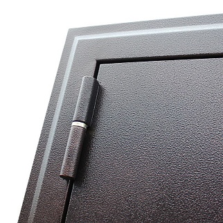 Дверь входная Техно М, медный антик/орех темный